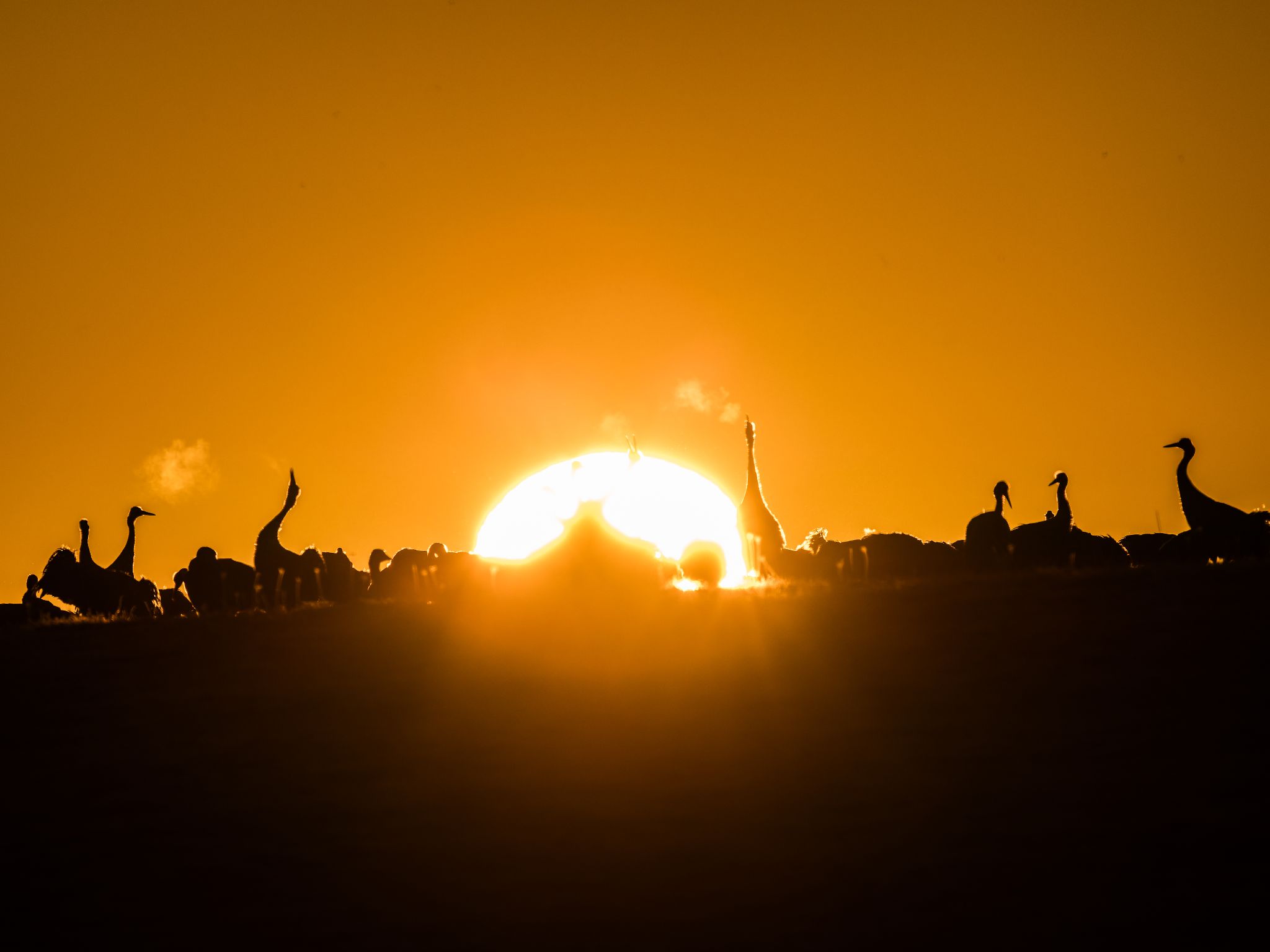 260401 0650 J  1JR2515 DxO DeepPRIME 3